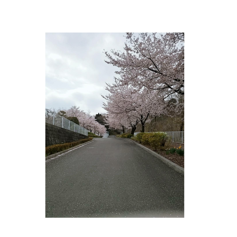 新宿公園